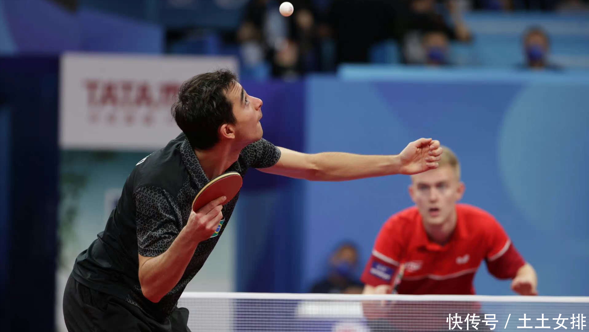 的决策力 的决策力